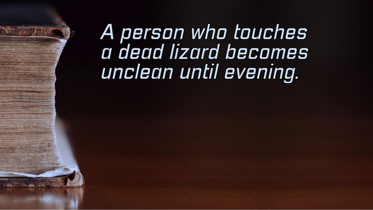 Chat GPT or Old Testament Law image number null